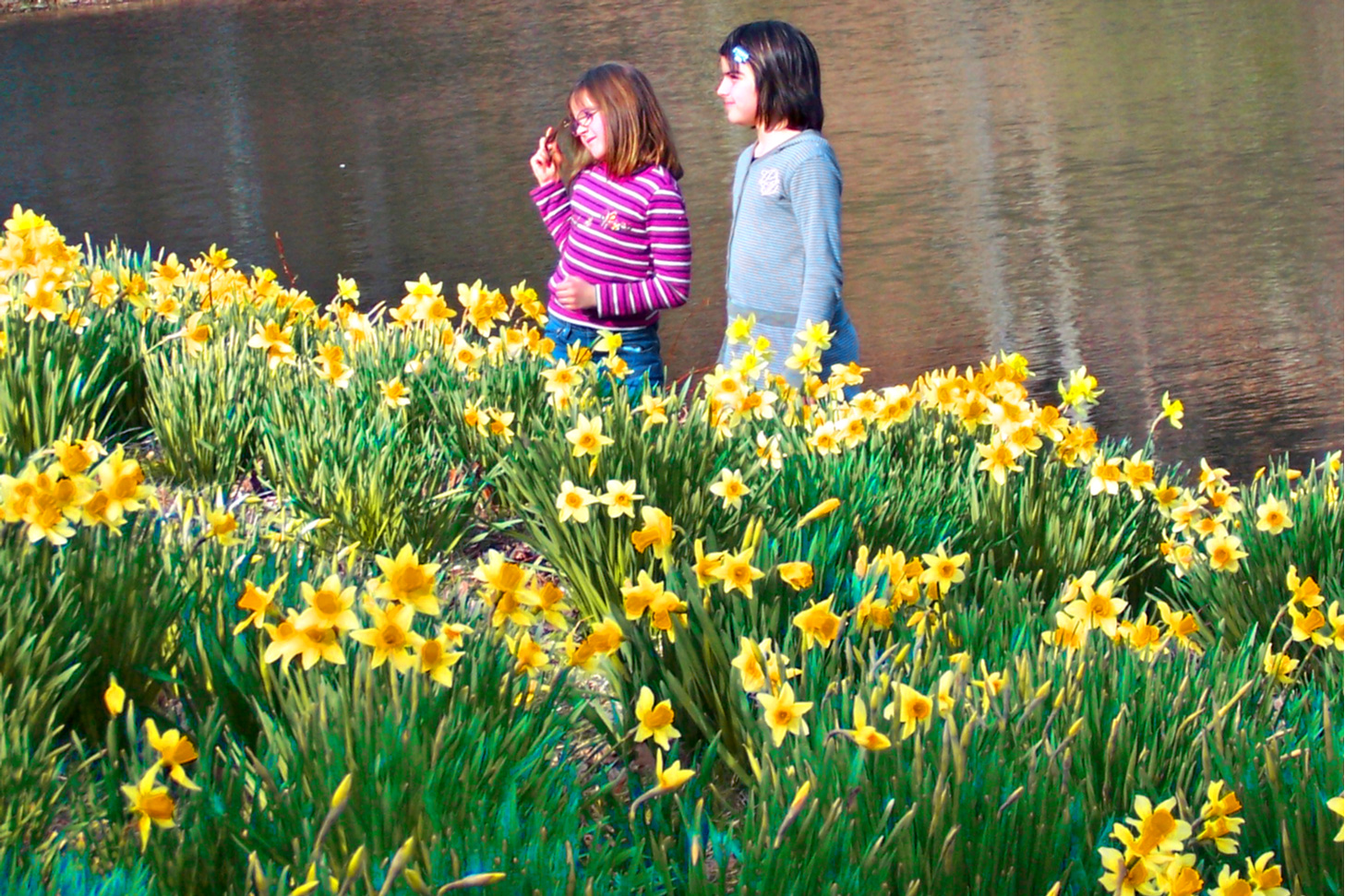 Laurel Ridge Farm Fun Things To Do in Connecticut During Spring Break 2025