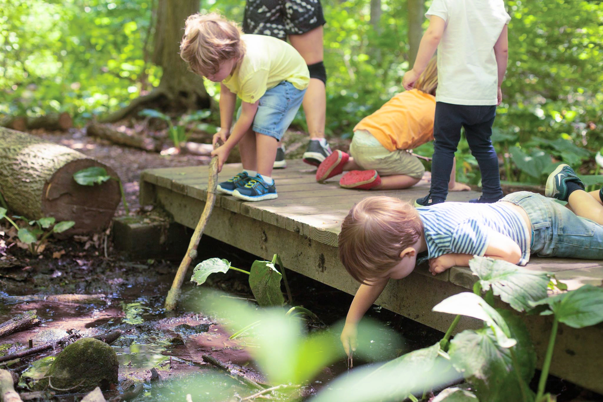 Children explore nature in Darien. Photo by Julia Arstorp Photography courtesy of Darien Nature Center