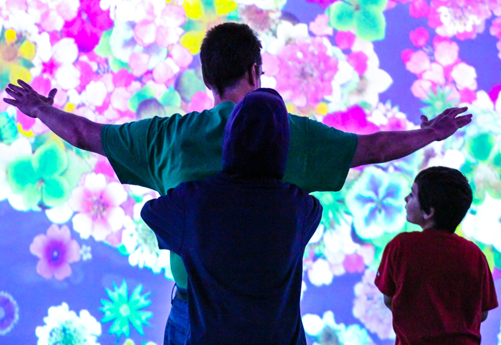 Revel in the beauty of Blooming Wonders at ARTECHOUSE. Photo by Elvert Barnes via Flickr 2.0