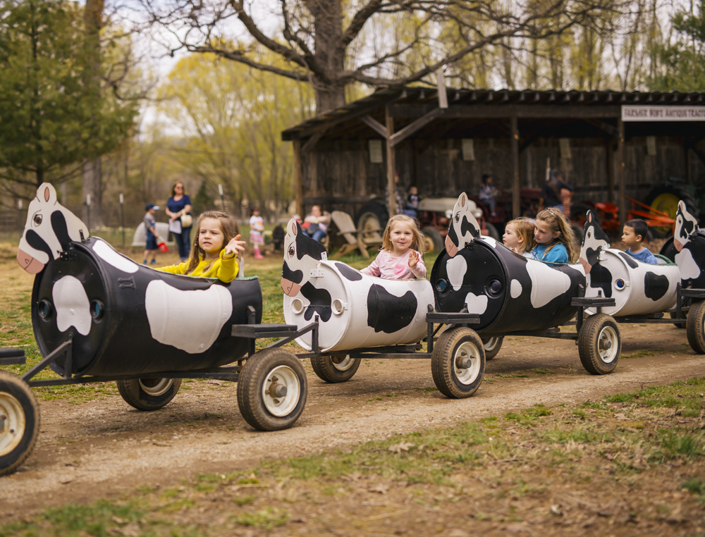 Ride the cow train at Great Country Farms. Photo courtesy of the farm
