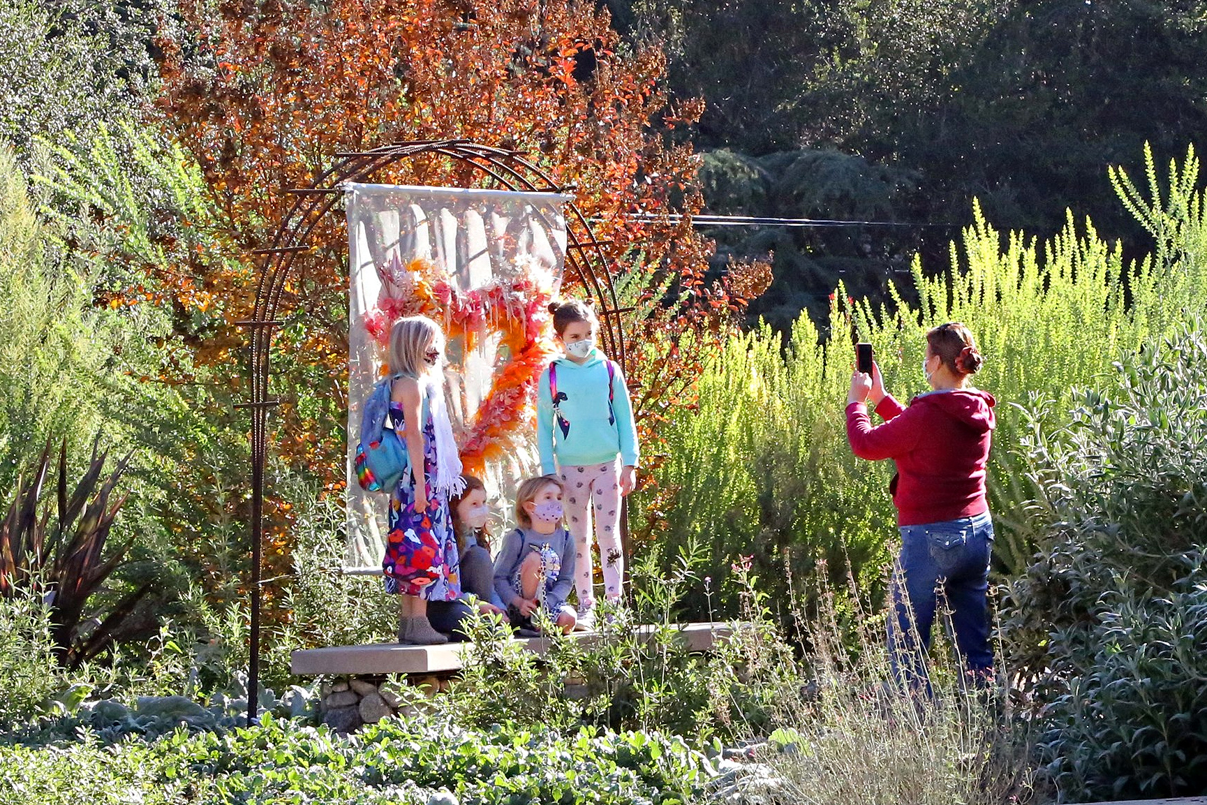 Photo courtesy of Descanso Gardens