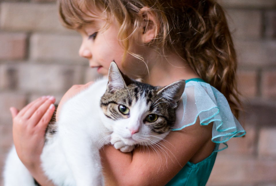 A kitty can really be a girl's best friend. Photo by Donnie Ray Jones, via Flickr (CC BY-NC-ND 2.0)