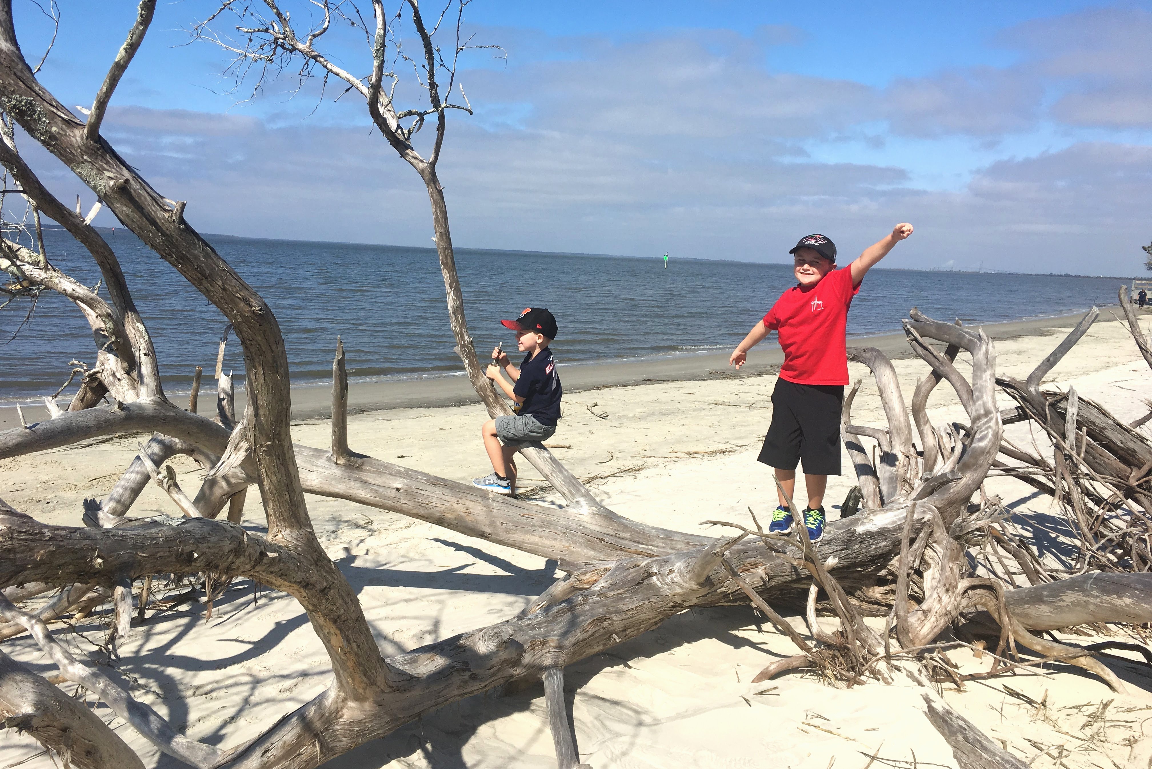 50 States, 50 Kid-Approved Adventuresd: Driftwood Beach, Jekyll Island, Georgia