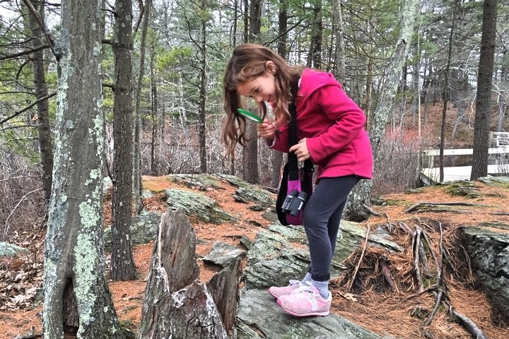 Spring Break Boston 2025 Drumlin Farm Boston Mass Audubon