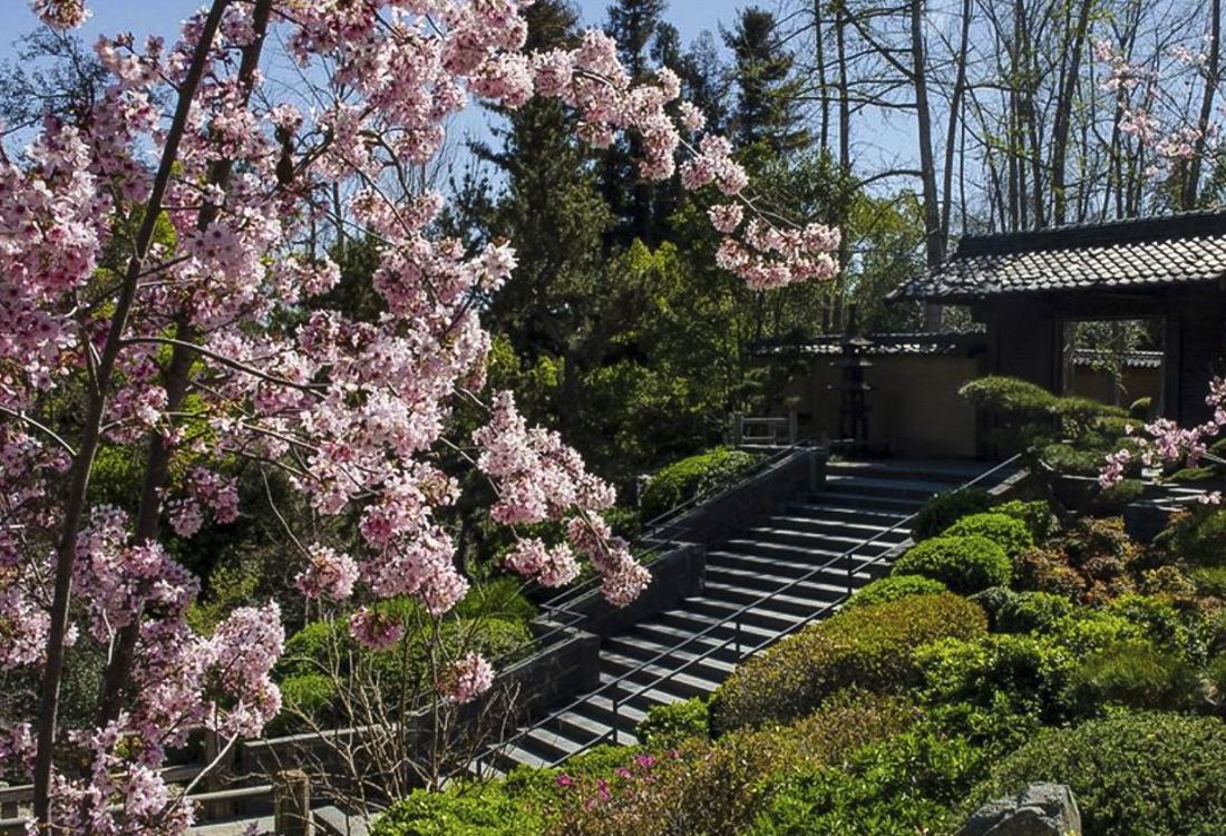 Spend a spring day in the zen garden at the Huntington. Photo courtesy of the Huntington