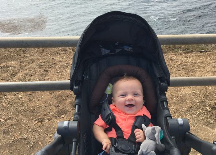 Check out the Baby Jogger City Mini GT2 All-Terrain Stroller in action! 