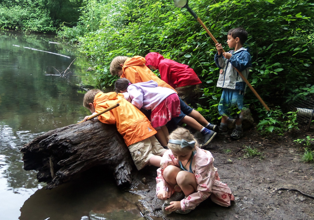Young kids can explore the outdoors at these great summer camps for preschoolers in Boston! Drumlin Farm photo courtesy of the Massachusetts Office of Tourism, via Flickr