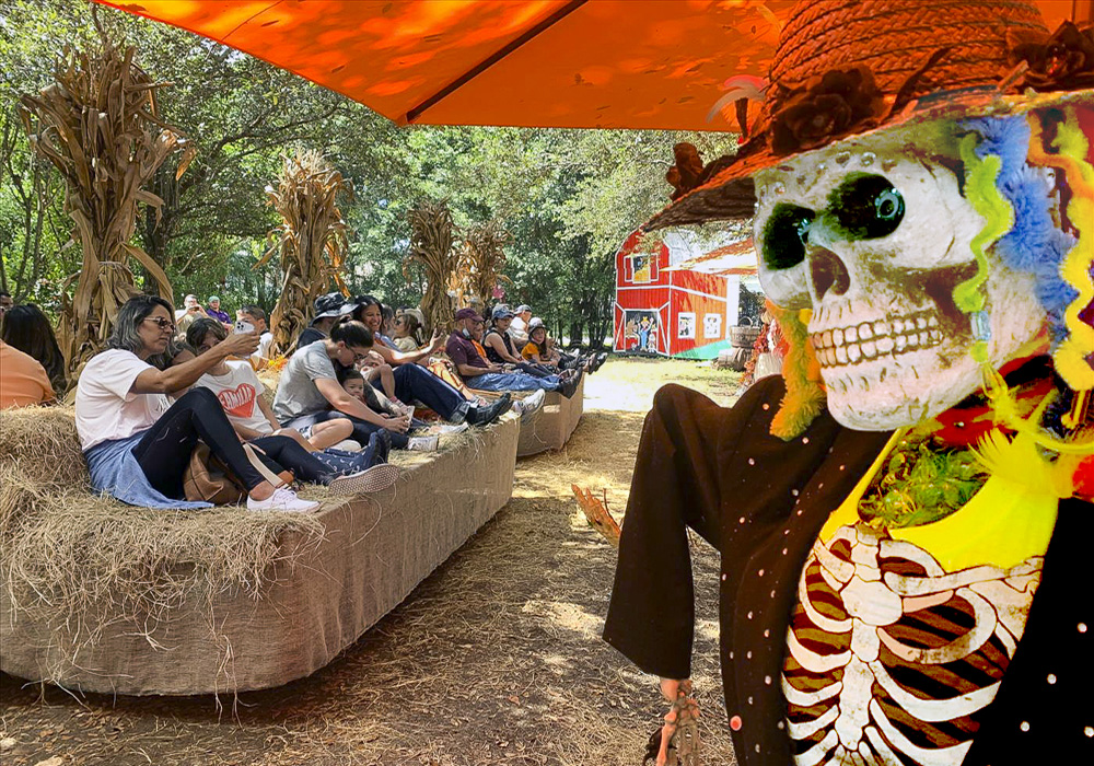 Don't let your gourd down at the Fall Harvest Festival in Davie. Photo courtesy of Flamingo Road Nursery