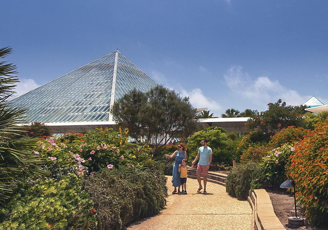 Day trips from Houston: Galveston