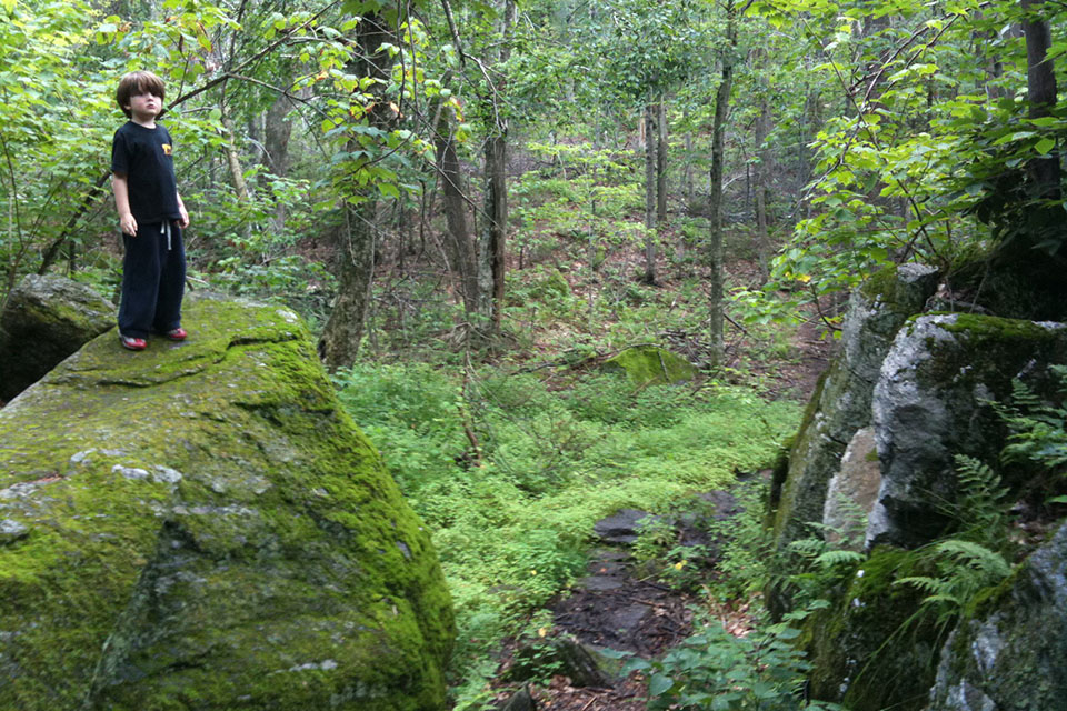 Earth Kids is all able getting our children excited about environmentalism.
