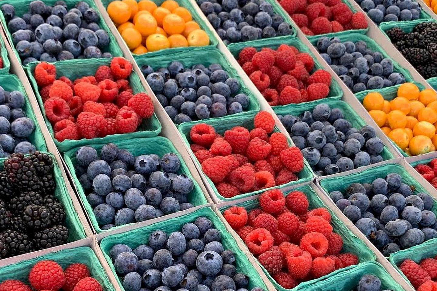 Things To Do with Kids in Manhattan Beach : Visit the Farmers Market