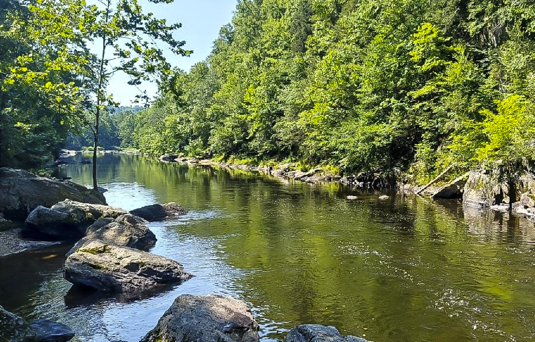 Image of Farmington River - Farmington River Tubing