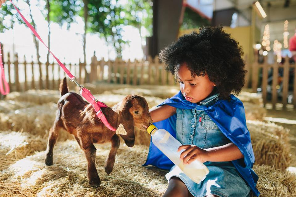 Feeding time! Photo courtesy of Los Angeles County Fair