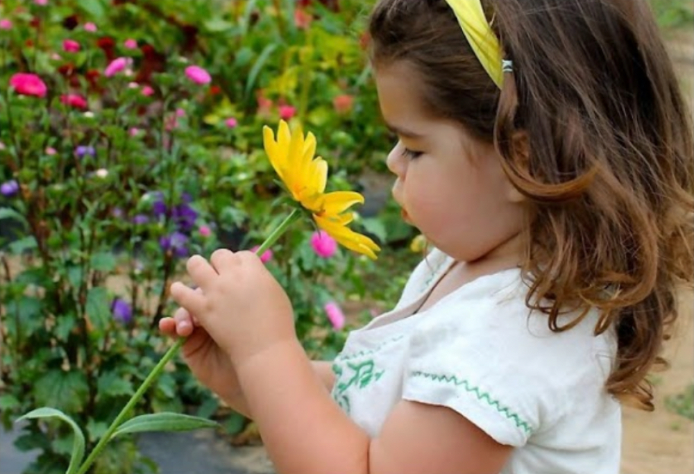 photo of little girl picking photos in a field to make flower crowns