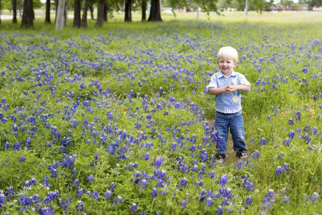 Bluebonnet photos are a Texas tradition. Photo courtesy of Sweet Pecks Photography