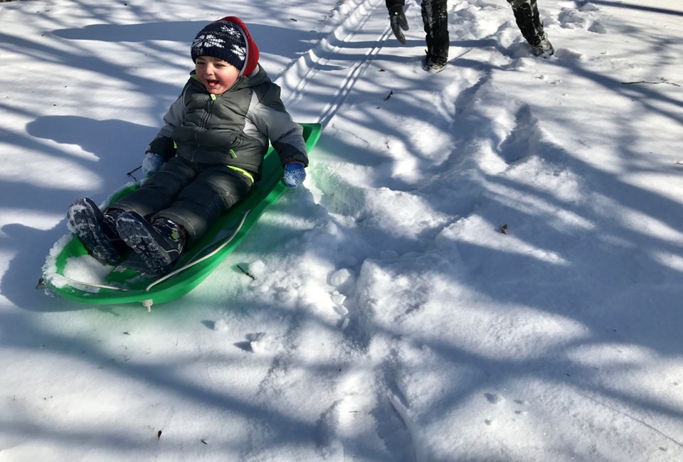 Westchester has sledding hills for everyone from tots to teens. Photo by Marisa Iallonardo