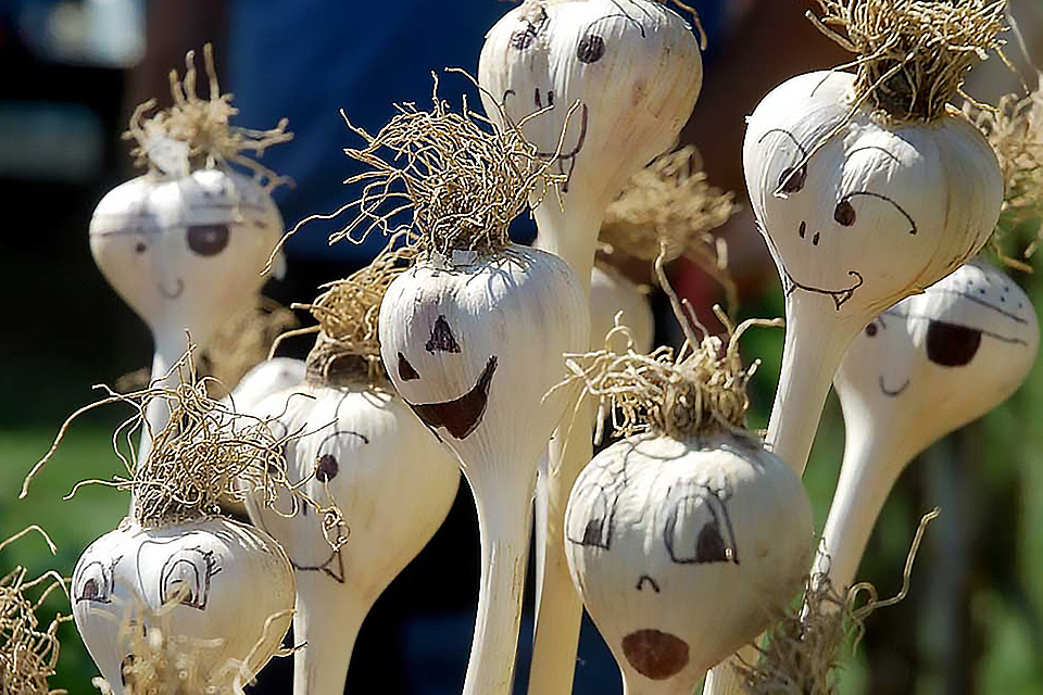  Hudson Valley Garlic Festival