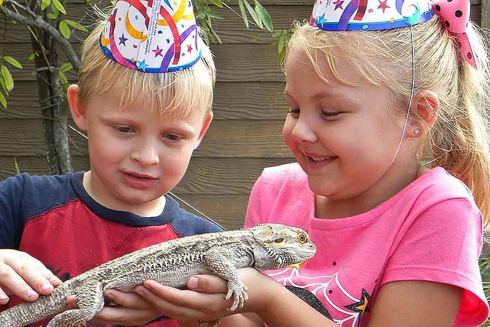 Celebrate your child's birthday party at Gatorland. Photo courtesy of Gatorland