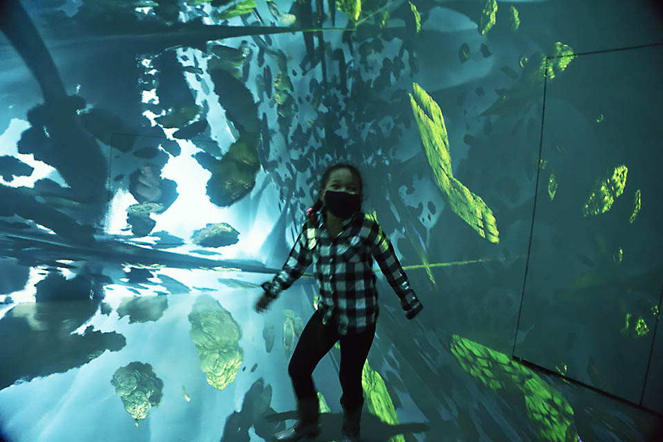 girl in Geometric Properties