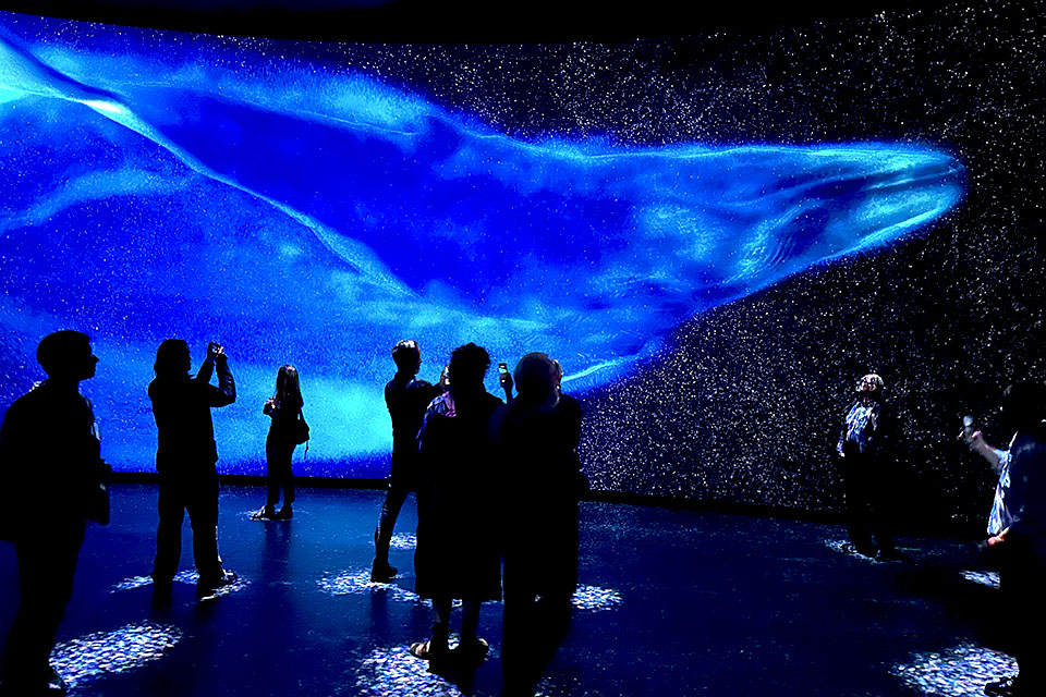 Gilder Center at AMNH: Invisible Worlds exhibition