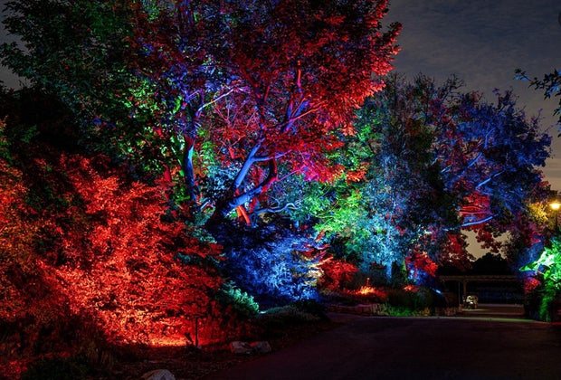 Christmas Light Displays in Los Angeles:GLOW at South Coast Botanic Garden