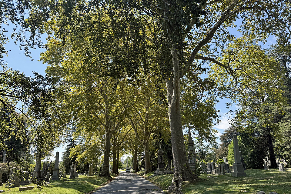 Green-Wood Cemetery with kids: Wide paths are great for strollers