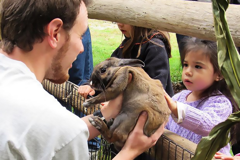 Touch the soft rabbits at the Greenburgh Nature Center's petting zoo in Scarsdale. Photo courtesy of the center