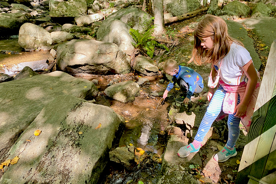 This spring break, take a hike by the soaring hemlock trees in Hacklebarney State Park. Photo by Rose Gordon Sala