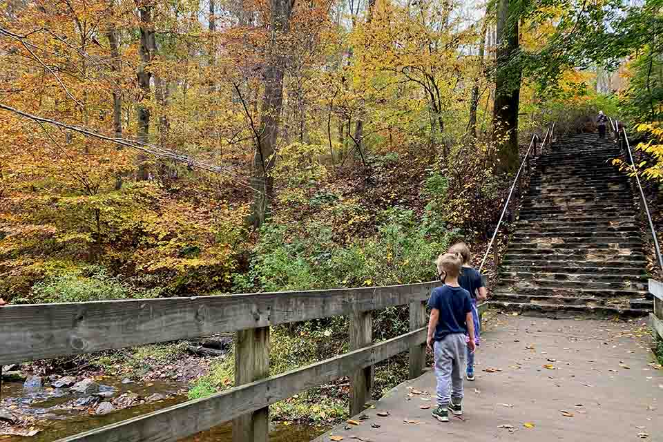 kids peer over a bridge into a river at Hacklebarney State Park
