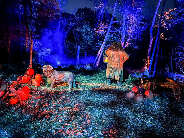 Harry Potter: A Forbidden Forest Experience: Hagrid