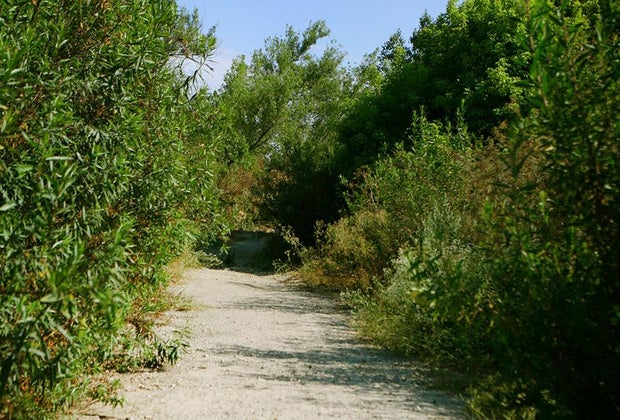 Wildlife Hikes for Kids in Los Angeles: Hahamonga Watershed Park.