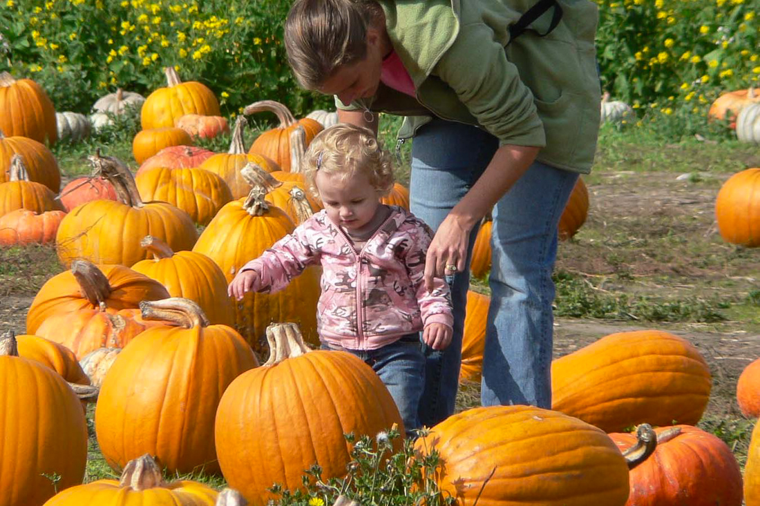 Enjoy full days of fall fun. Photo courtesy of the Half Moon Bay Annual Pumpkin and Art Festival 