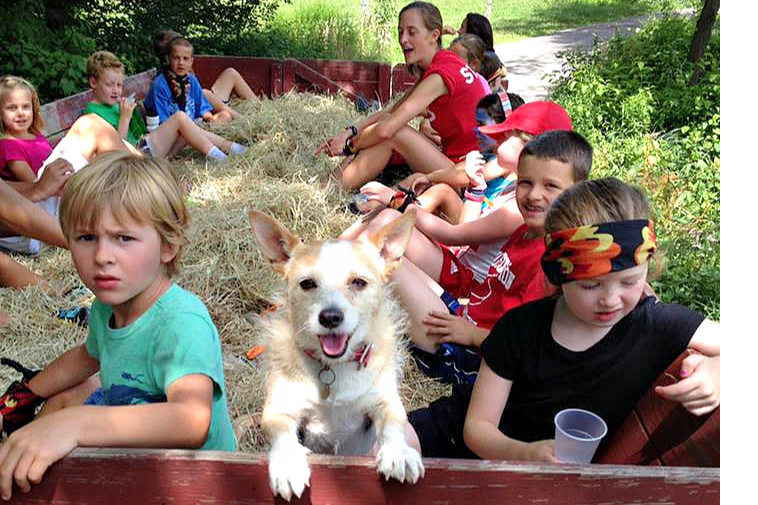 Halloween Hayrides can be sweet, not spooky—just ask this furry friend! Photo courtesy of Flamig Farm