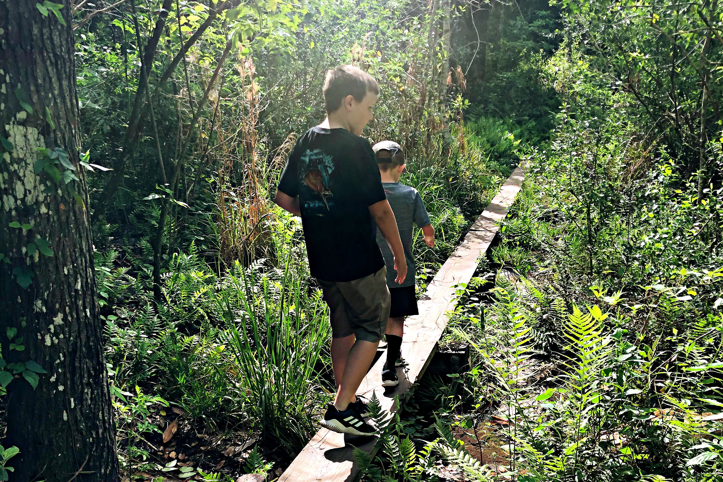 Challenge yourself on the walking beams at Hidden Waters Preserve.