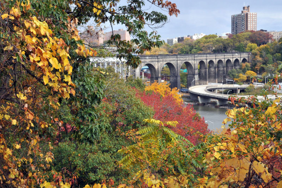 Fall foliage in Highbridge Park