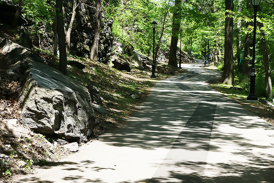 Highbridge Park is a beautiful spot to go hiking