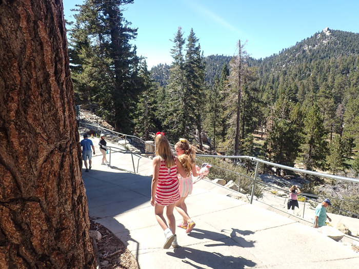 Palm Springs Aerial Tramway: Discovery Loop at San Jacinto State Park