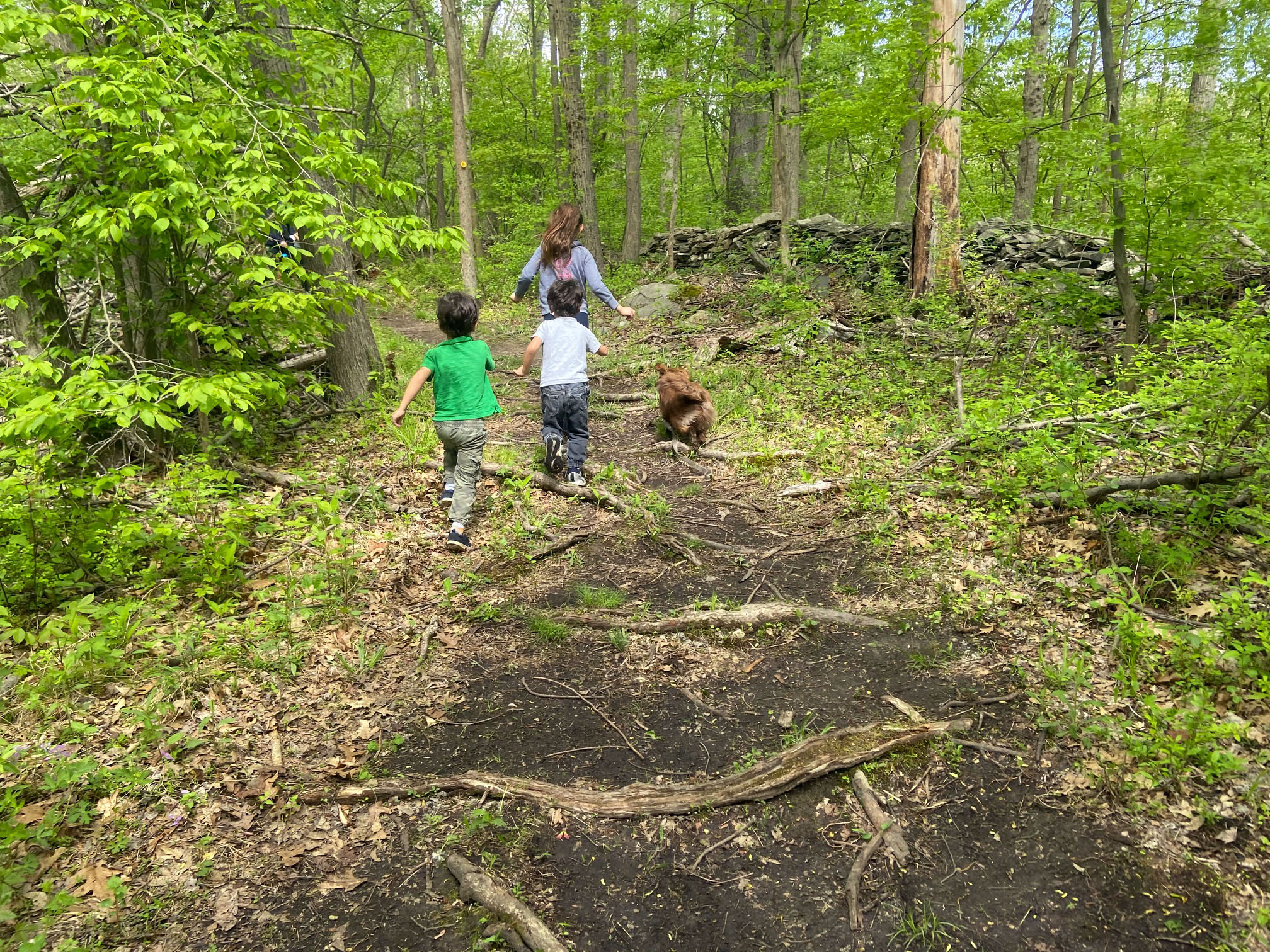 Let your kids loose to run free on the hiking trails right here in NYC. Photo by Sara M.