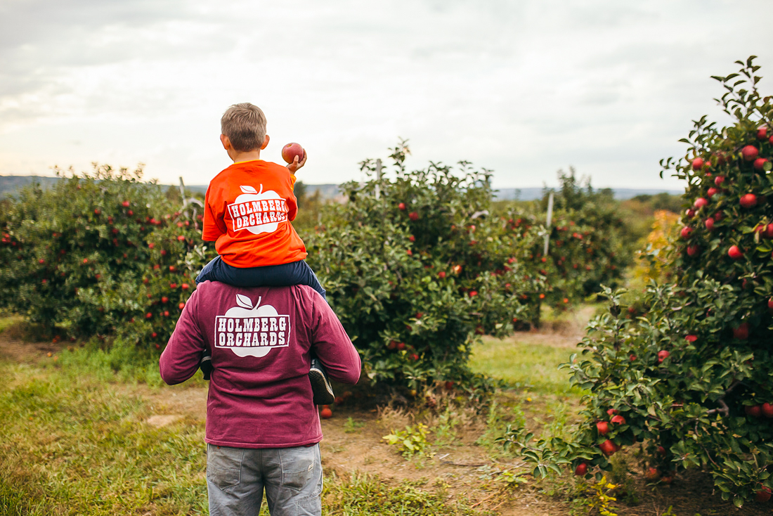 Enjoy the best of the Fall, with apple picking in Connecticut and fun apple festivals. Photo courtesy of Holmberg Orchards & Winery