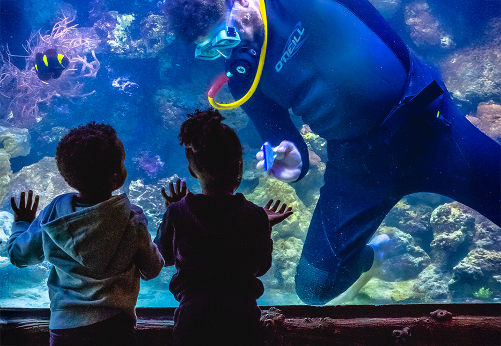 Downtown Aquarium photo by Jaime Hudson for Travel Texas