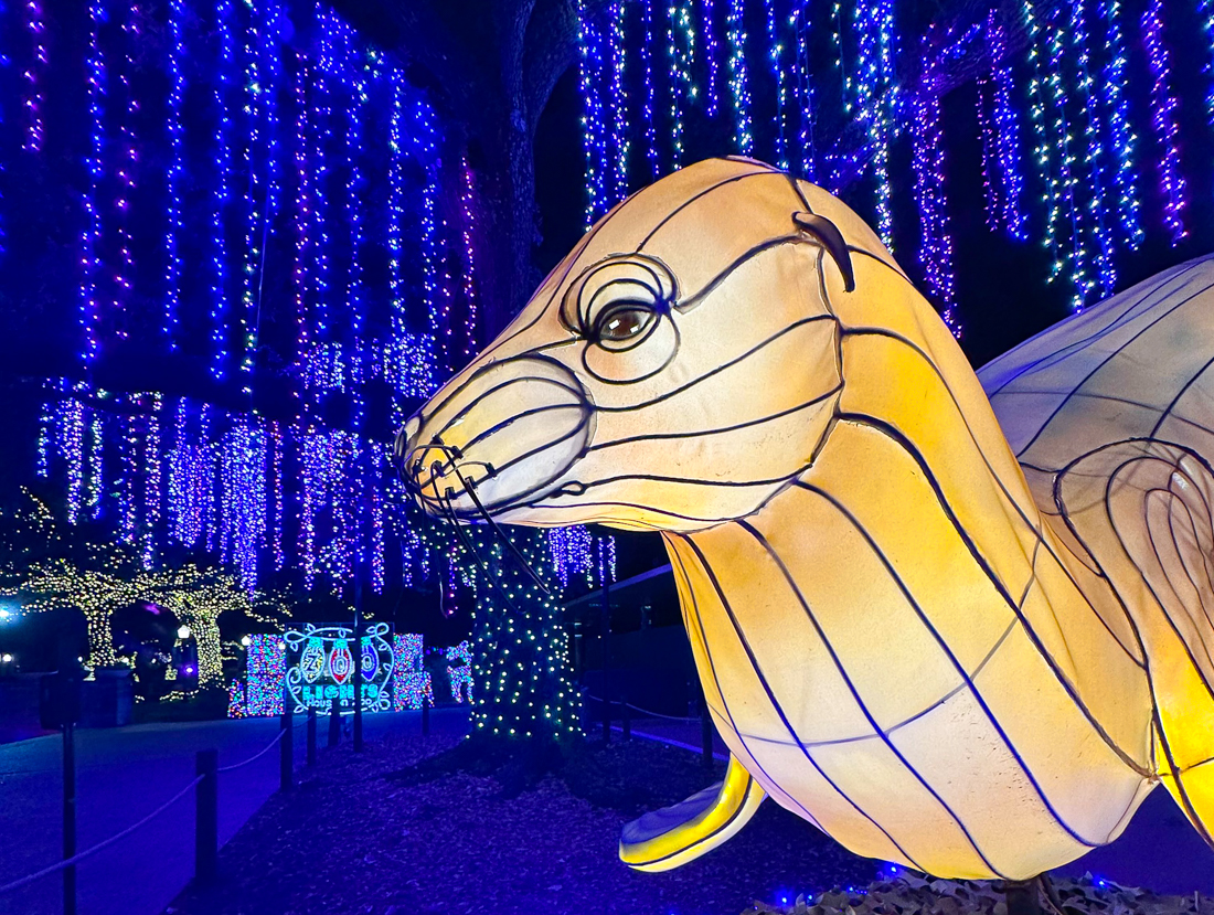 Head to the Houston Zoo for a fun outing this Christmas break. Photo courtesy of the zoo