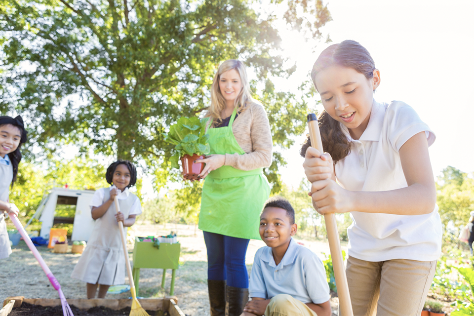 How to Start a Green Club at School: Create a garden compost area at school