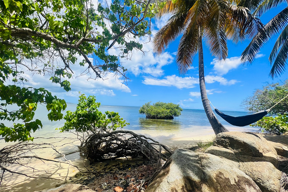 Embrace Tranquility at the Hyatt Regency Grand Reserve Puerto Rico