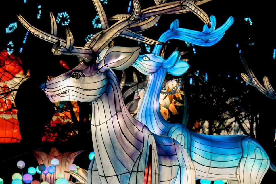 Lantern festivals Long Island