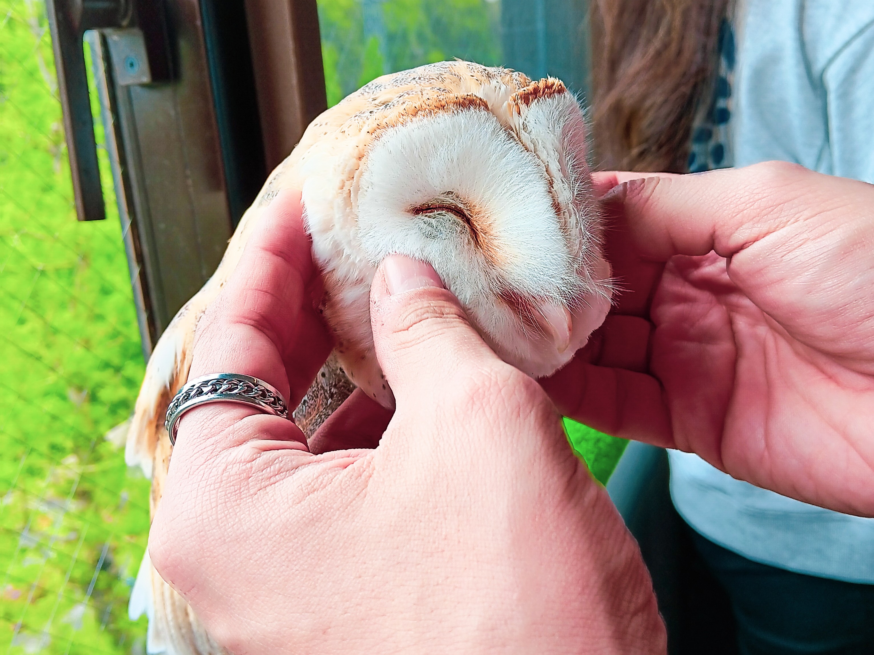 Tokyo with kids: Owl Village Cafe