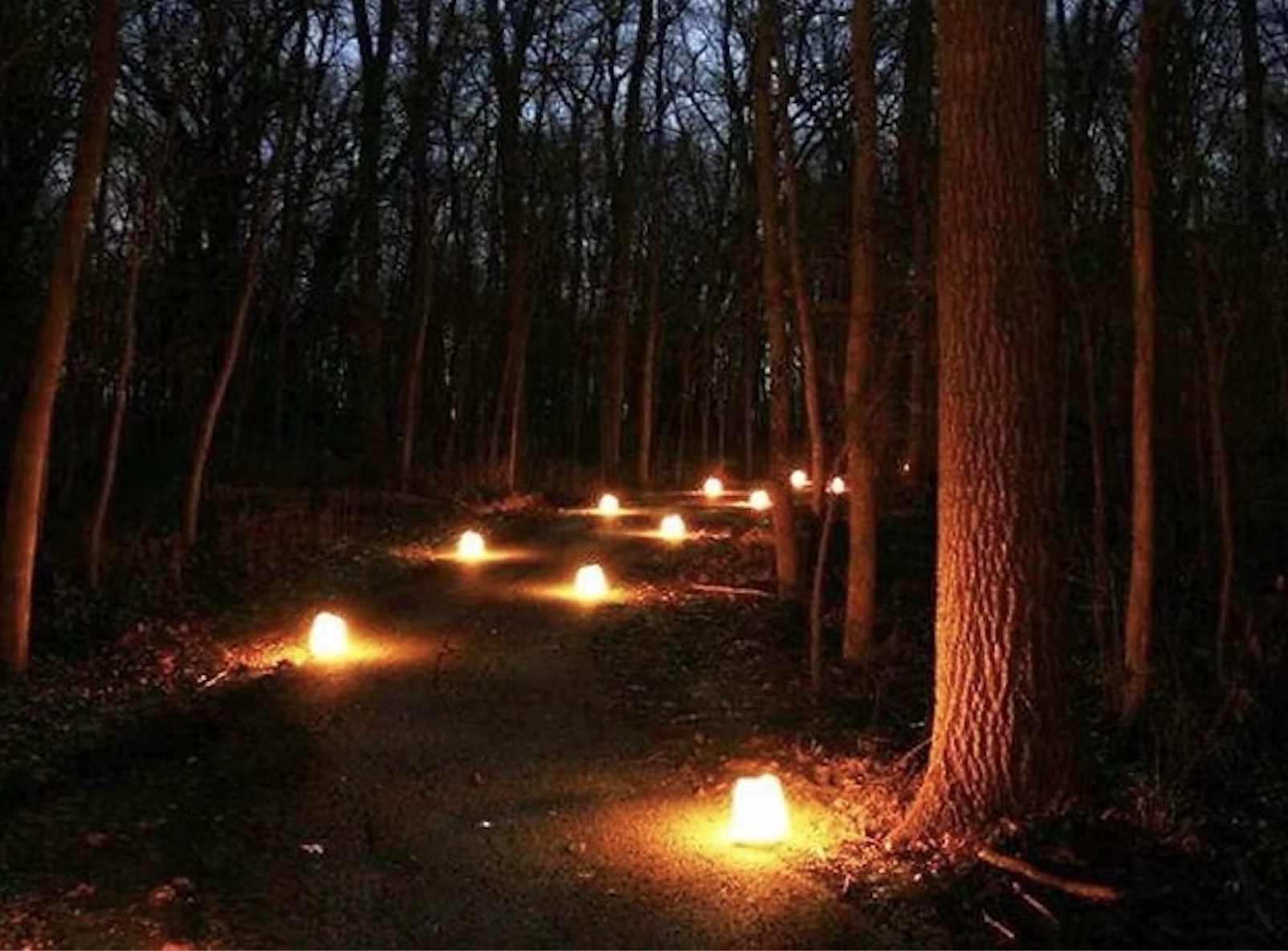 Find great fun for families, indoors and out, in Connecticut this weekend. Photo courtesy of the Woodstock Nature Center