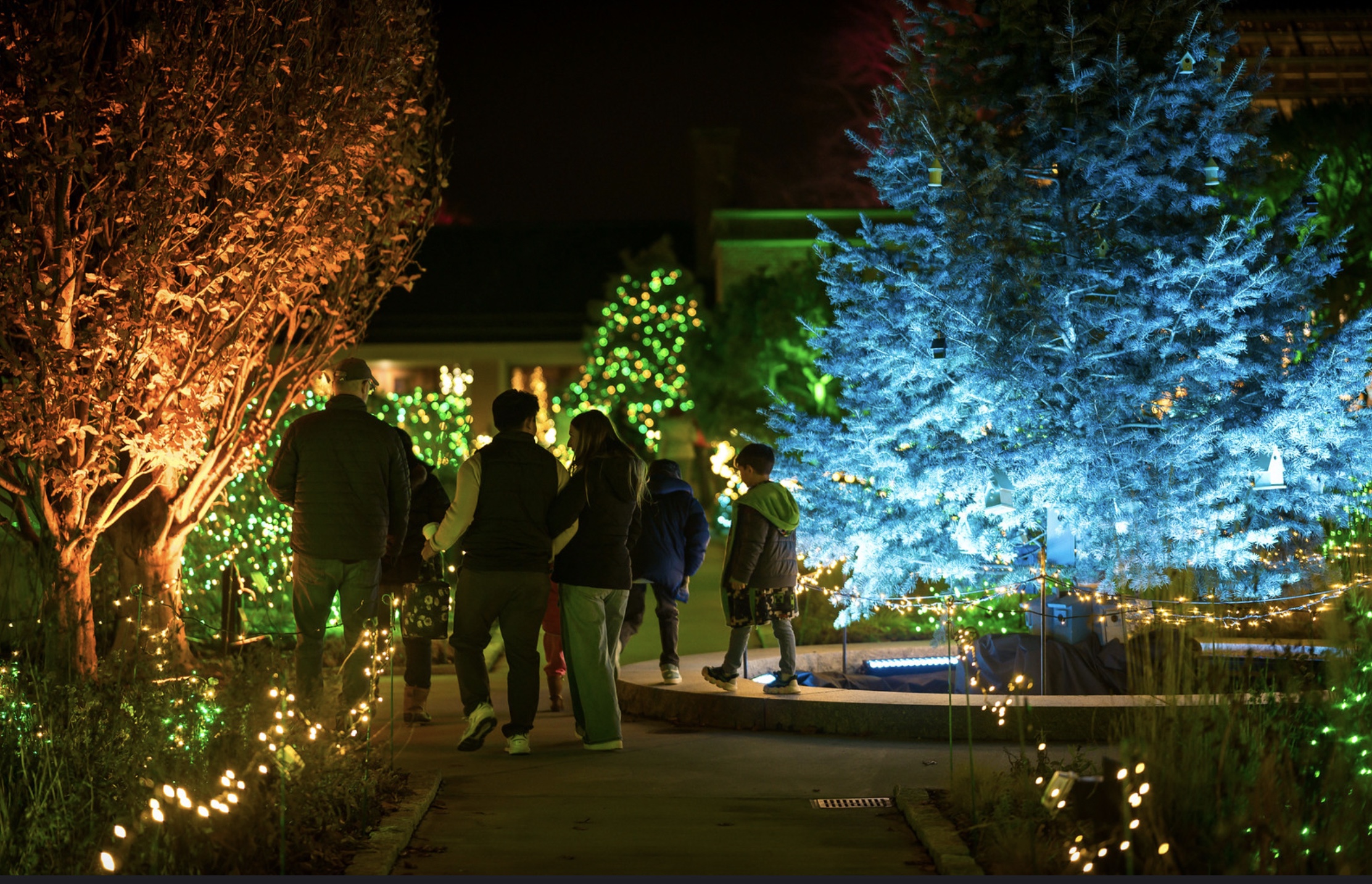Get out for more holiday magic in Boston at these great things to do between Christmas and New Year's with kids. Photo by Troy B. Thompson Photography, courtesy of New England Botanic Garden