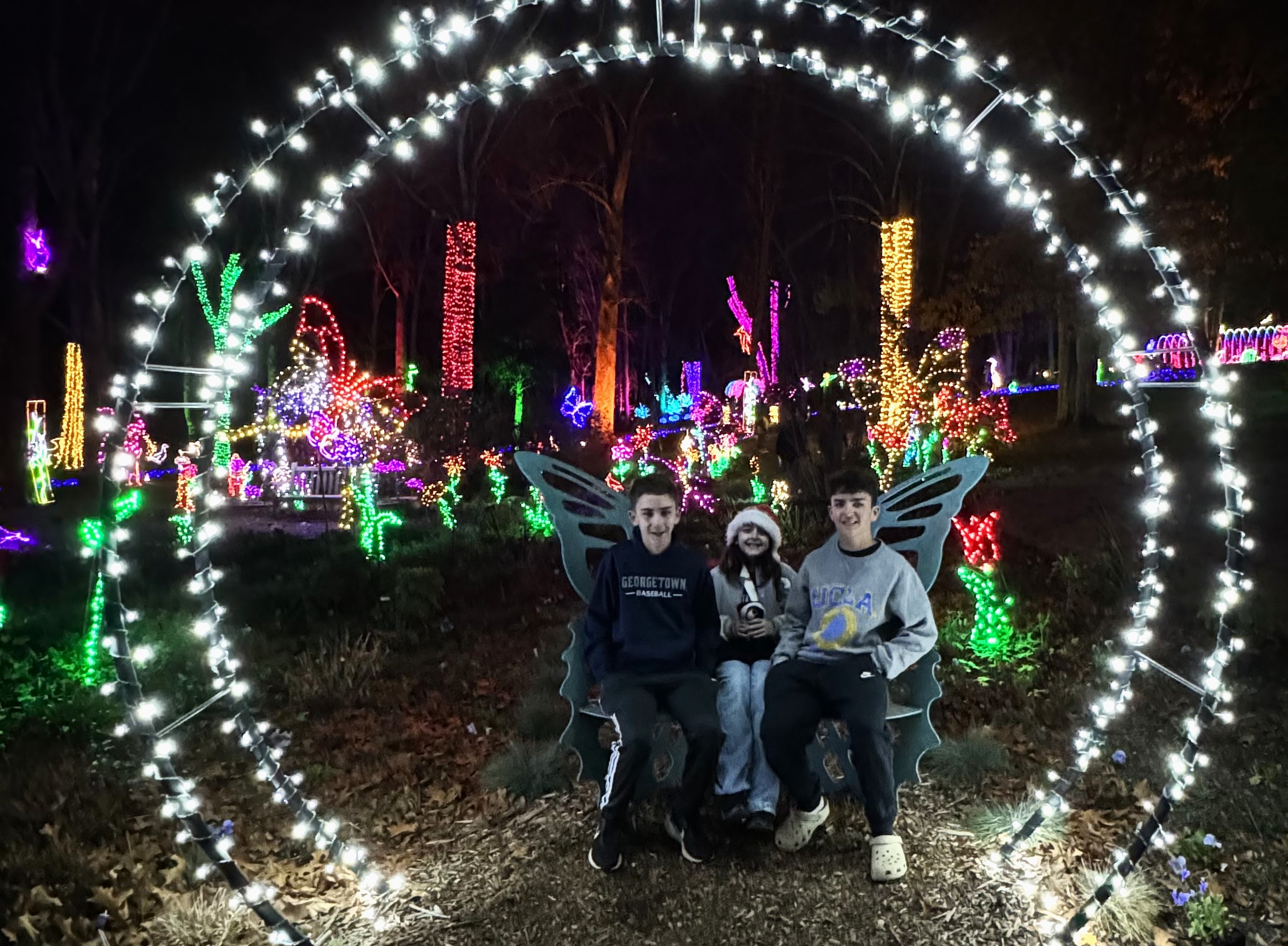 What's Open on Thanksgiving in DC: Meadowlark's Winter Walk of Lights