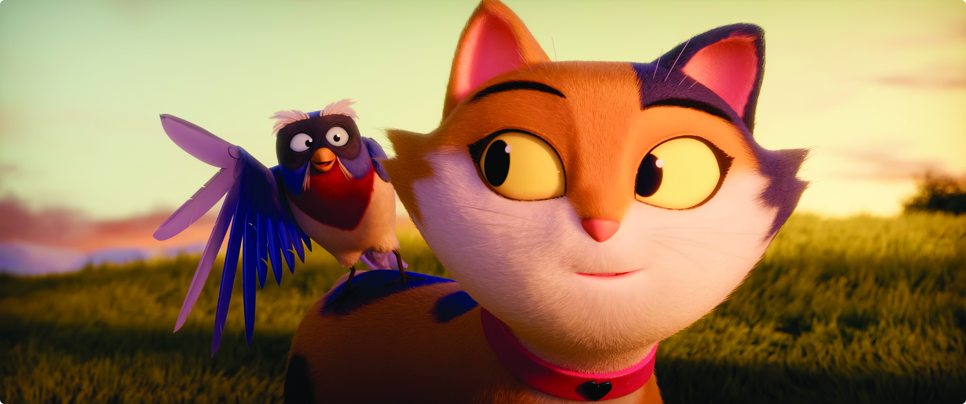 Screen new short films like 