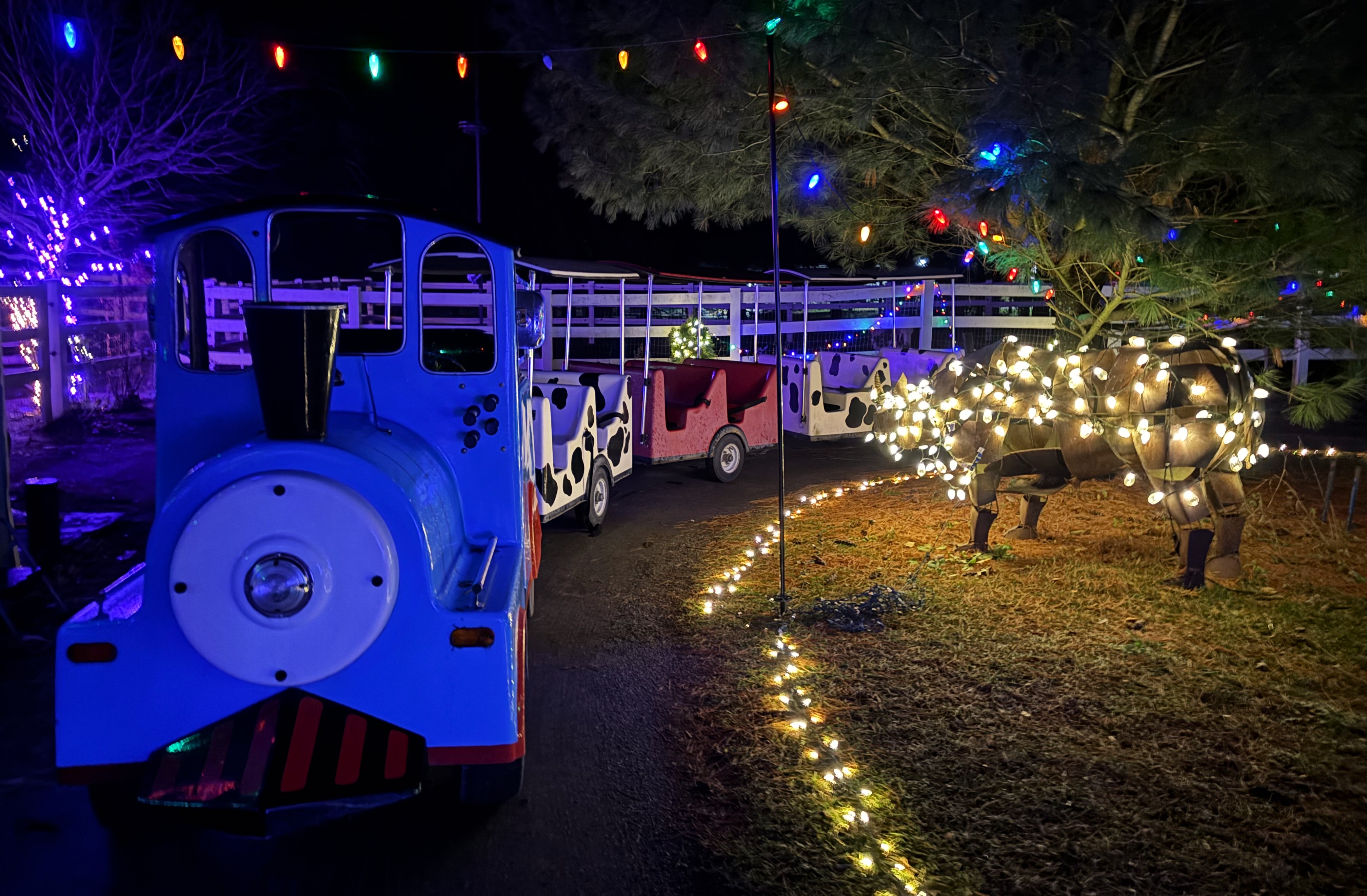 Photo courtesy of Brookhollow